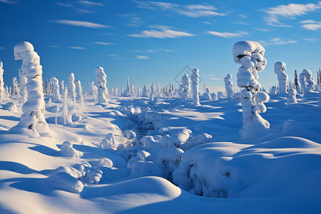 美丽的冰雪景观背景图片