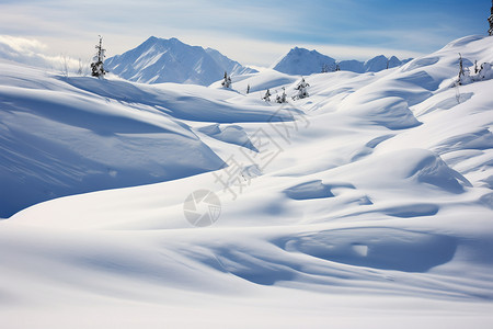 冬日的白雪景观图片