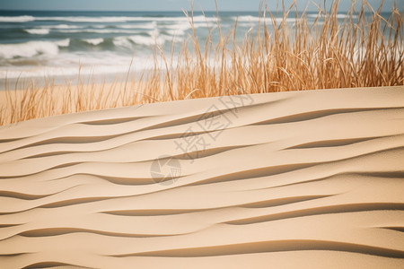 沙滩上的沙子高清图片