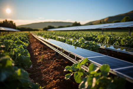 太阳能农业背景图片