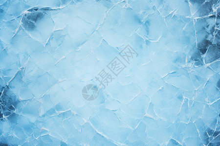 冰雪中的冬季风景背景图片