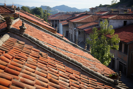 阳光下的红砖瓦屋顶高清图片