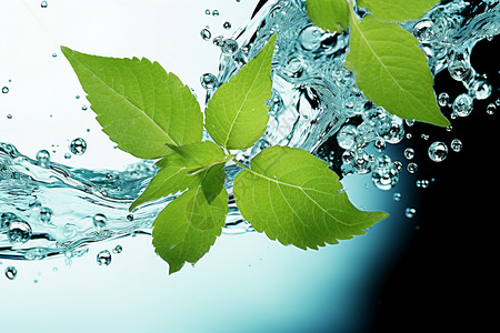活力植物翠绿叶片舞动在泡沫水设计图片
