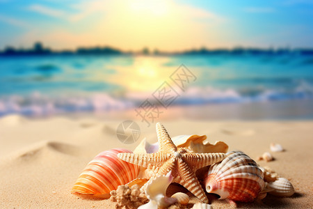 北太平洋海星海滩上的美丽贝壳背景