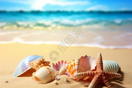 北太平洋海星海滩上的海星和贝壳背景