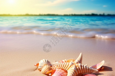 海边的小海星背景图片