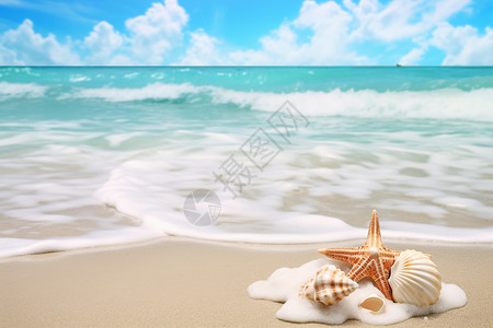 北太平洋海星海滩上的贝壳背景