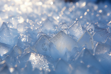 寒冷季节的冰晶图片