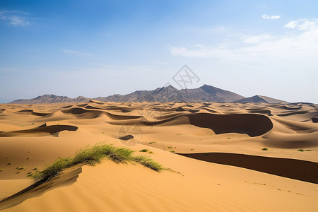 著名的阿尔沙沙漠高清图片