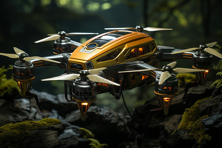 无人机探测森林生态环境图片