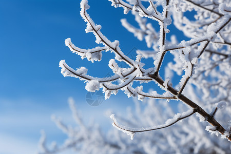 天空下的雪景高清图片