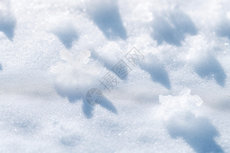 冰雪凝结的冰晶背景图片