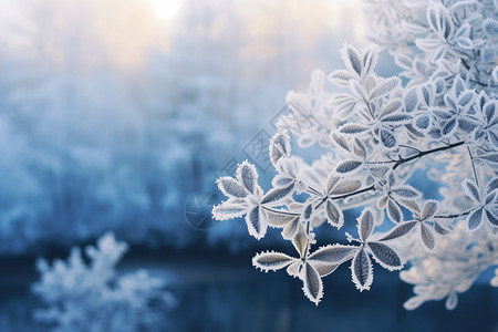 二十四节气矢量图树枝上的积雪背景