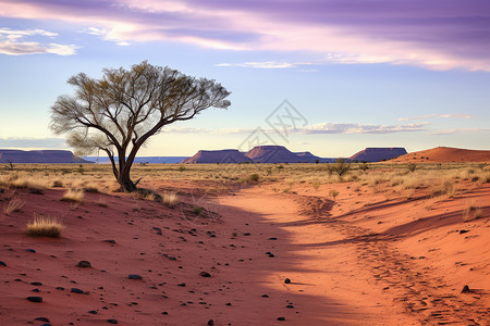 孤山矗立的沙漠风景高清图片