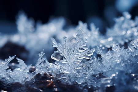 结在地上的雪花图片