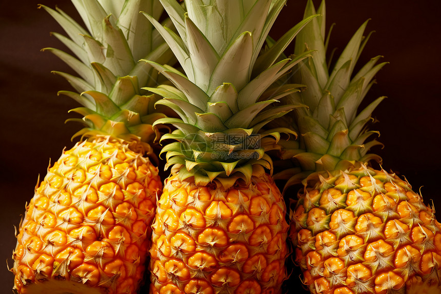 热带水果的菠萝图片