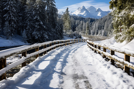 雪地冬日森林之旅高清图片