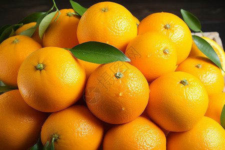 新鲜采摘的橙子图片