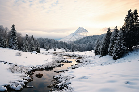 美丽壮观的雪山河流景观图片