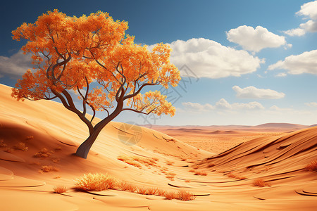 沙漠中的孤木图片