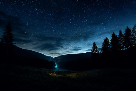 夜幕下的星空与森林图片