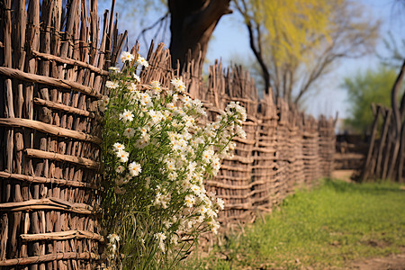 柳条栅栏田园乡村中的篱笆墙背景