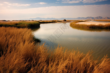 秋季景色宁静的沙湖风景区背景