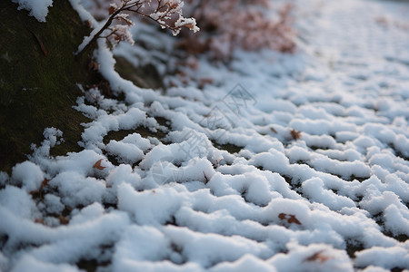 冬季户外的冰雪图片