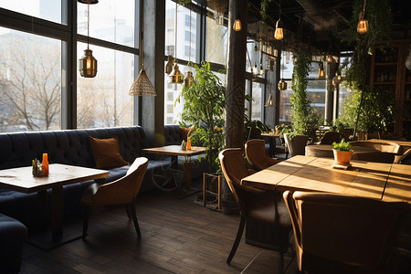 餐厅内的植被和桌椅背景图片