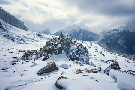 山巅的积雪图片