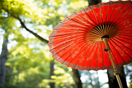 夏季树林中的油纸伞背景图片