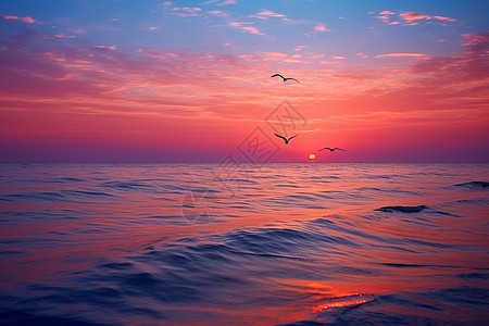 海上日出鸟飞渡图片