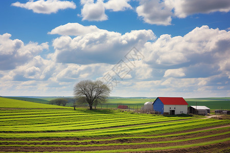 乡村风景如画的农田图片
