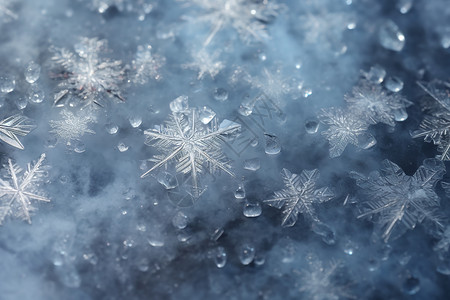 冰上雪花与冰晶图片