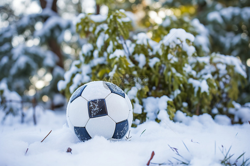 雪地上的足球图片