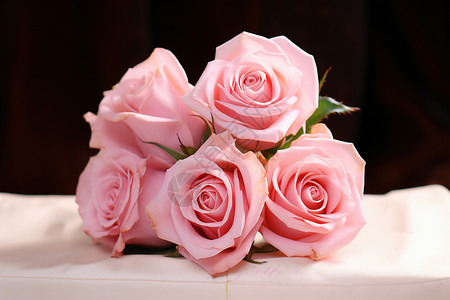 惠礼盛开的粉色玫瑰背景