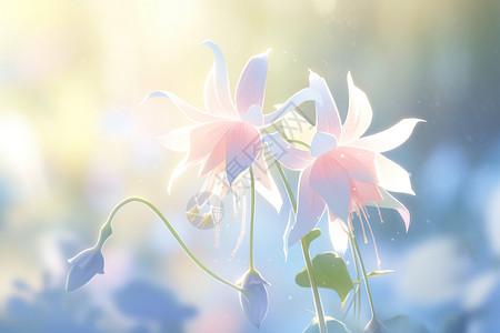 缤纷的鲜花插画背景图片