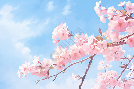 樱花盛开的插画图片