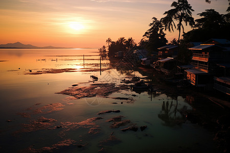 夕阳下的渔村图片