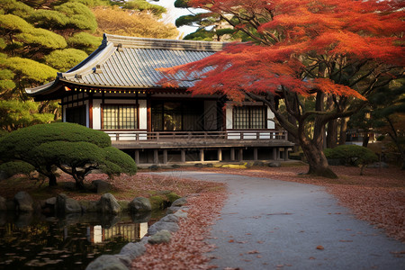 秋季红叶下的佛教建筑公园图片