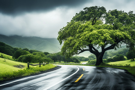 乡村雨天公路之旅图片