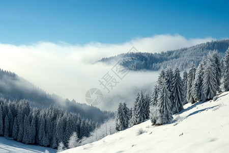 薄雾的雪山图片