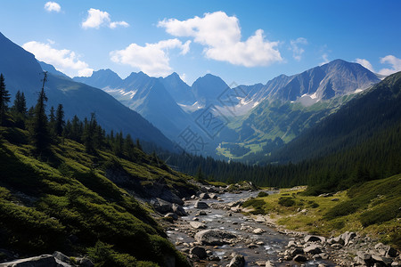 塔特拉翠绿的山河背景