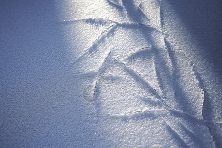 阳光下雪地的冰雕图片