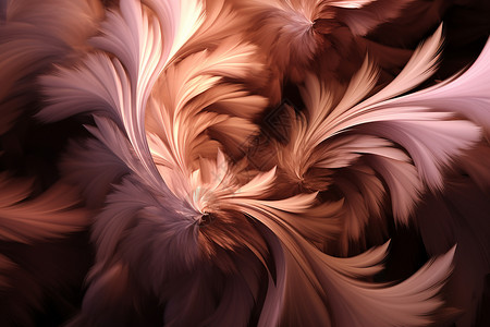 蓬松的羽毛背景图片