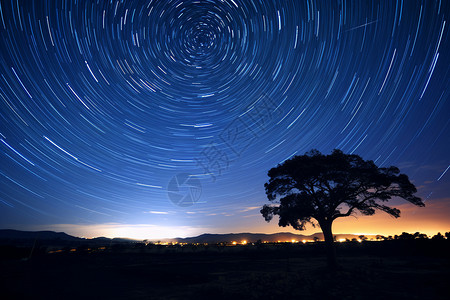 巨型星土豆树星空下的树与星轨背景