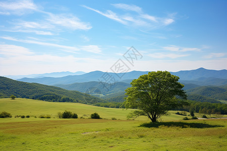 乡村静谧的山间草坪景观图片