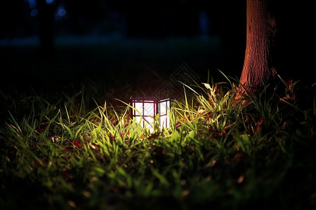 感应小夜灯大树旁的小夜灯背景