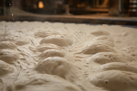 面团发酵发酵的面团背景
