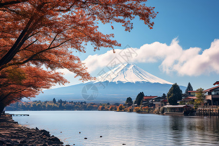 秋季的岚山之景背景图片